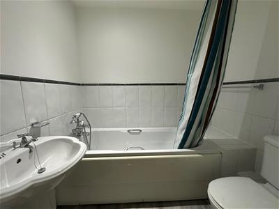 Picture 20